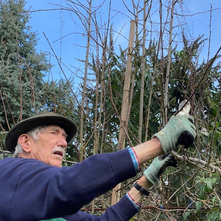Gartenexperte Klemens Delgoff weiß, wann und wie die Pflanzen beschnitten werden müssen.