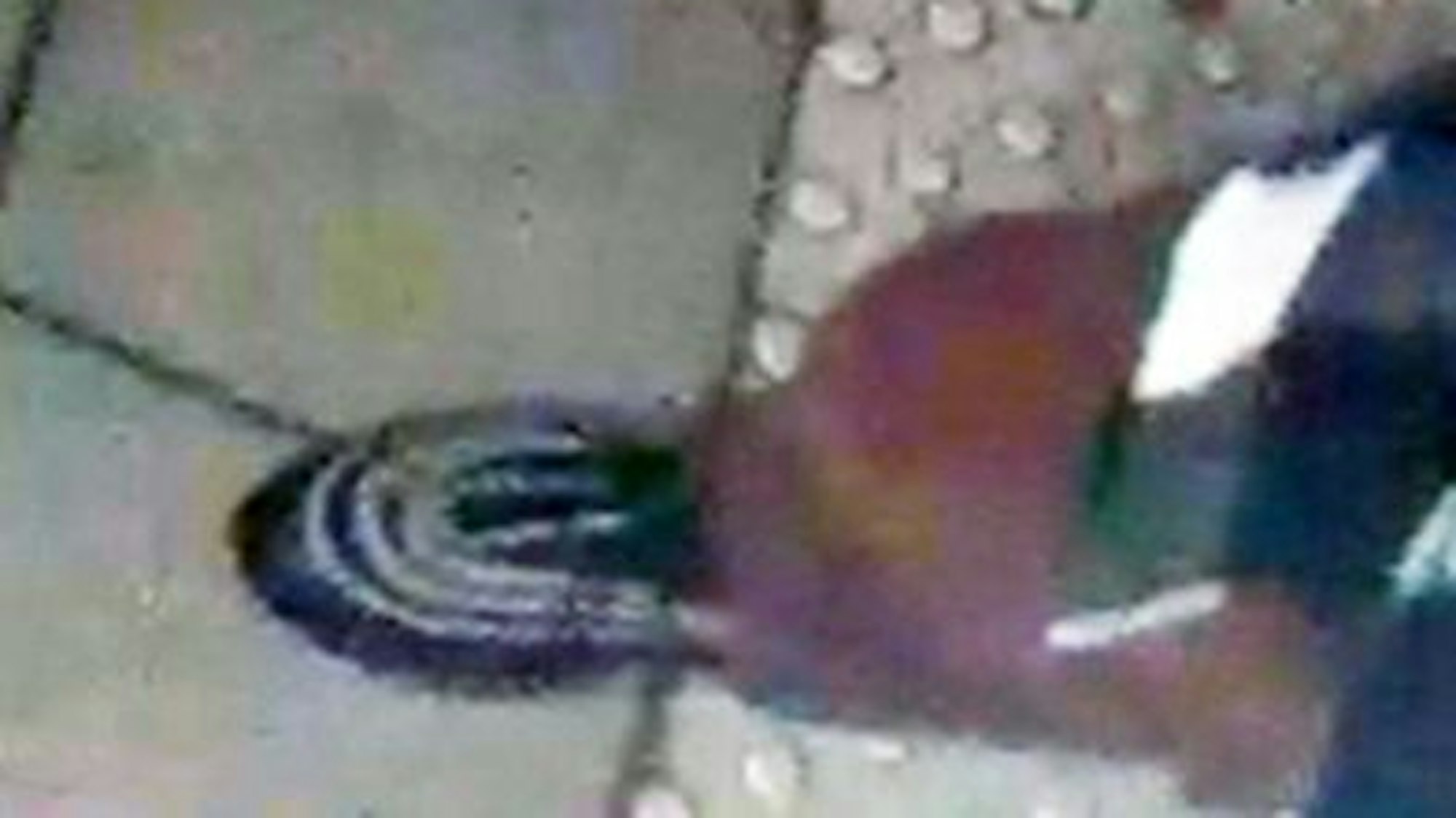 Der Schuh eines der Gesuchten.