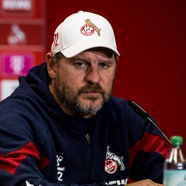 Steffen Baumgart kritisiert die Kölner Sportstätten GmbH für den Zustand des Rasens im Rheinenergie-Stadion.