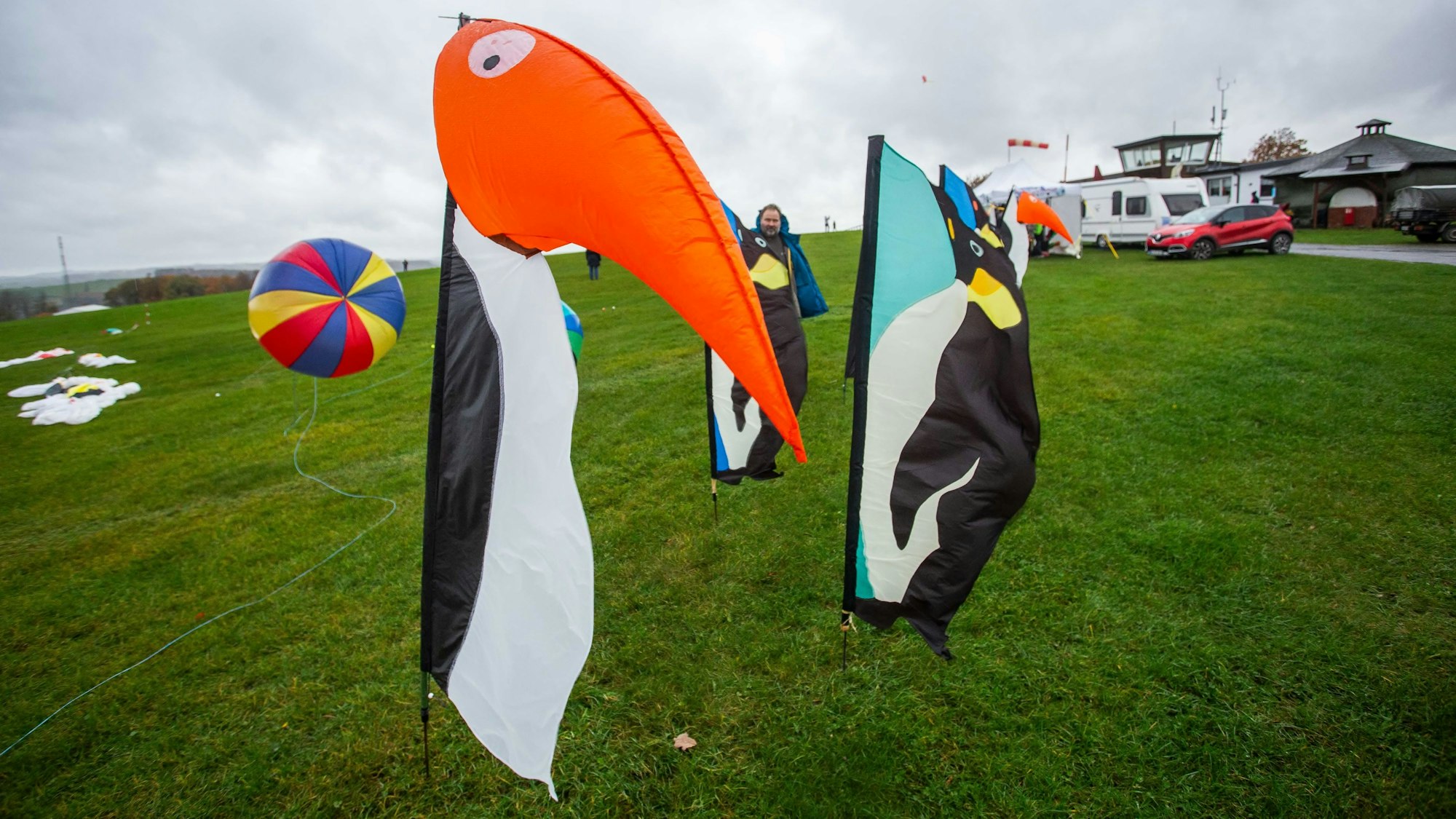 Mehrere bunte Drachen in Form von Vögeln stehen auf einer Wiese.