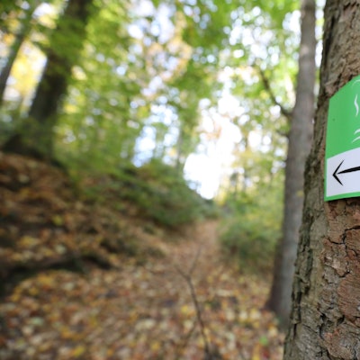 Ein kleines grünes Schild mit einem schwarzen Pfeil und einem QR-Code an einem Baum weist auf die „Wege der Wildnis“ hin.