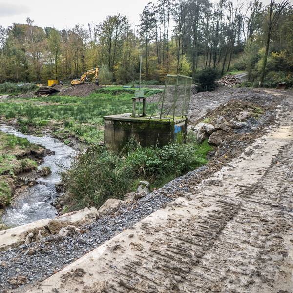 Umgestaltung des ehemaligen Fischteichs in Diepental:Ein Froschteich soll entstehen.