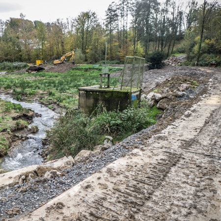 Umgestaltung des ehemaligen Fischteichs in Diepental:Ein Froschteich soll entstehen.
