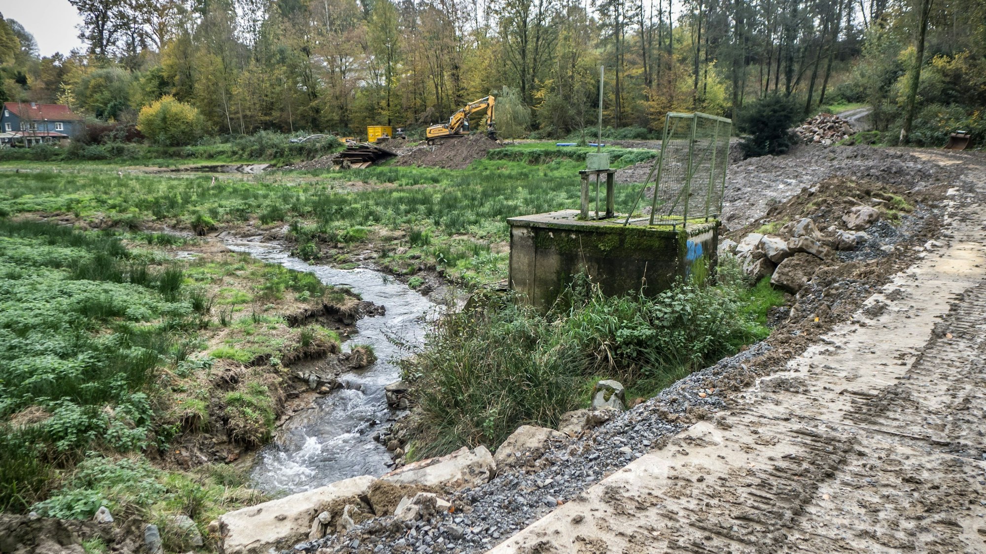 Umgestaltung des ehemaligen Fischteichs in Diepental:Ein Froschteich soll entstehen.