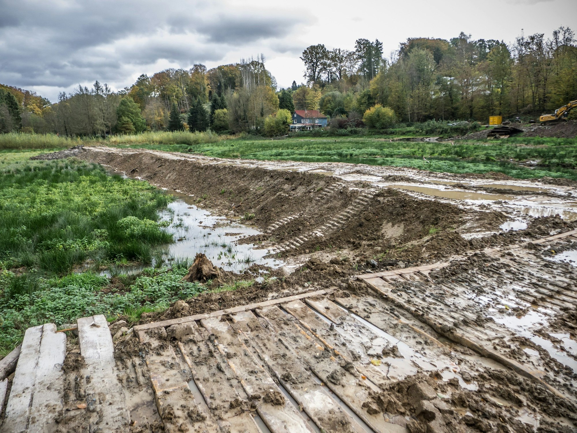 Umgestaltung des ehemaligen Fischteichs in Diepental:Ein Froschteich soll entstehen.