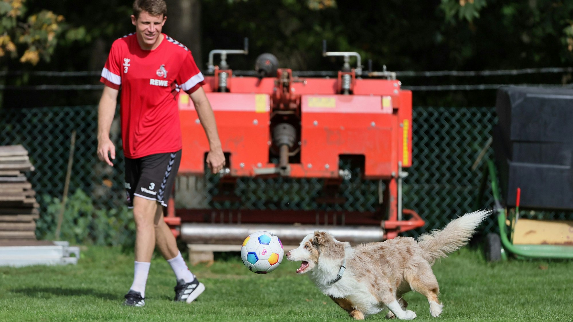 Dominique Heintz ist mit der Familie inklusive Hund nach Köln zurückgekehrt.