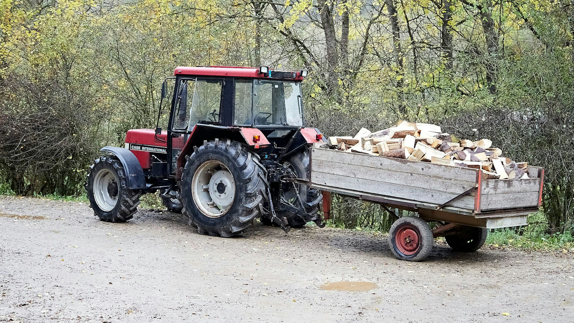Auf einem Waldweg steht ein Traktor mit Einachs-Anhänger, auf dem Brennholzstücke liegen.