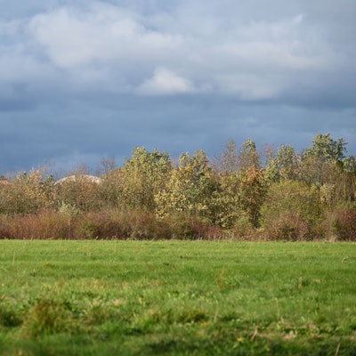 Im Vordergrund sieht man einen Acker, hinter Bäumen das Dach der Waldorfschule.