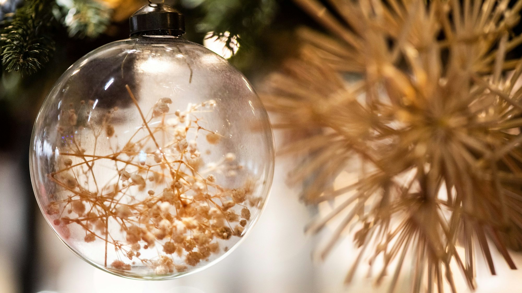 Eine mit Trockenblumen gefüllte, transparente Christbaumkugel.