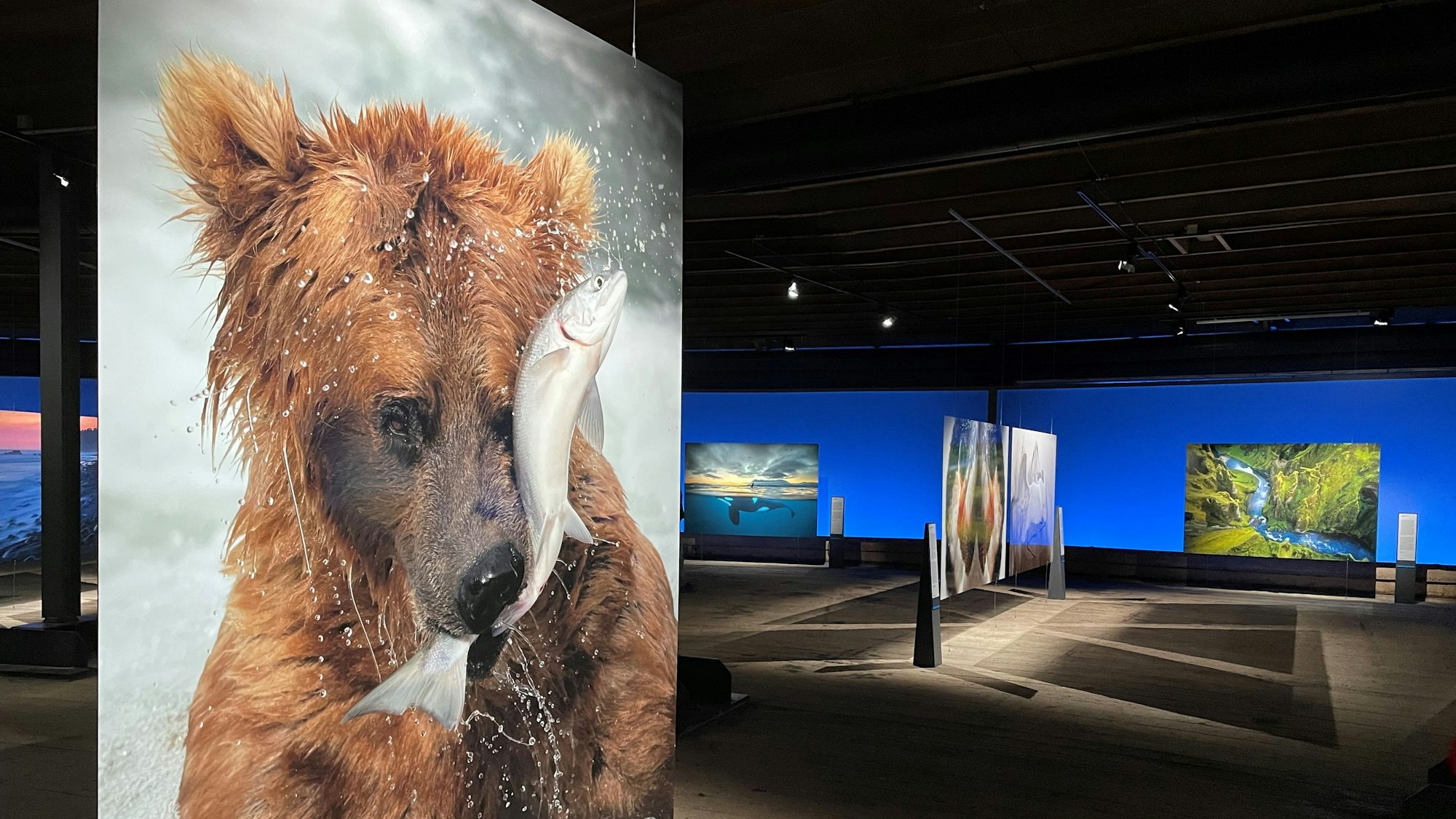 Ausstellung im Gasometer in Oberhausen „Das zerbrechliche Paradies“