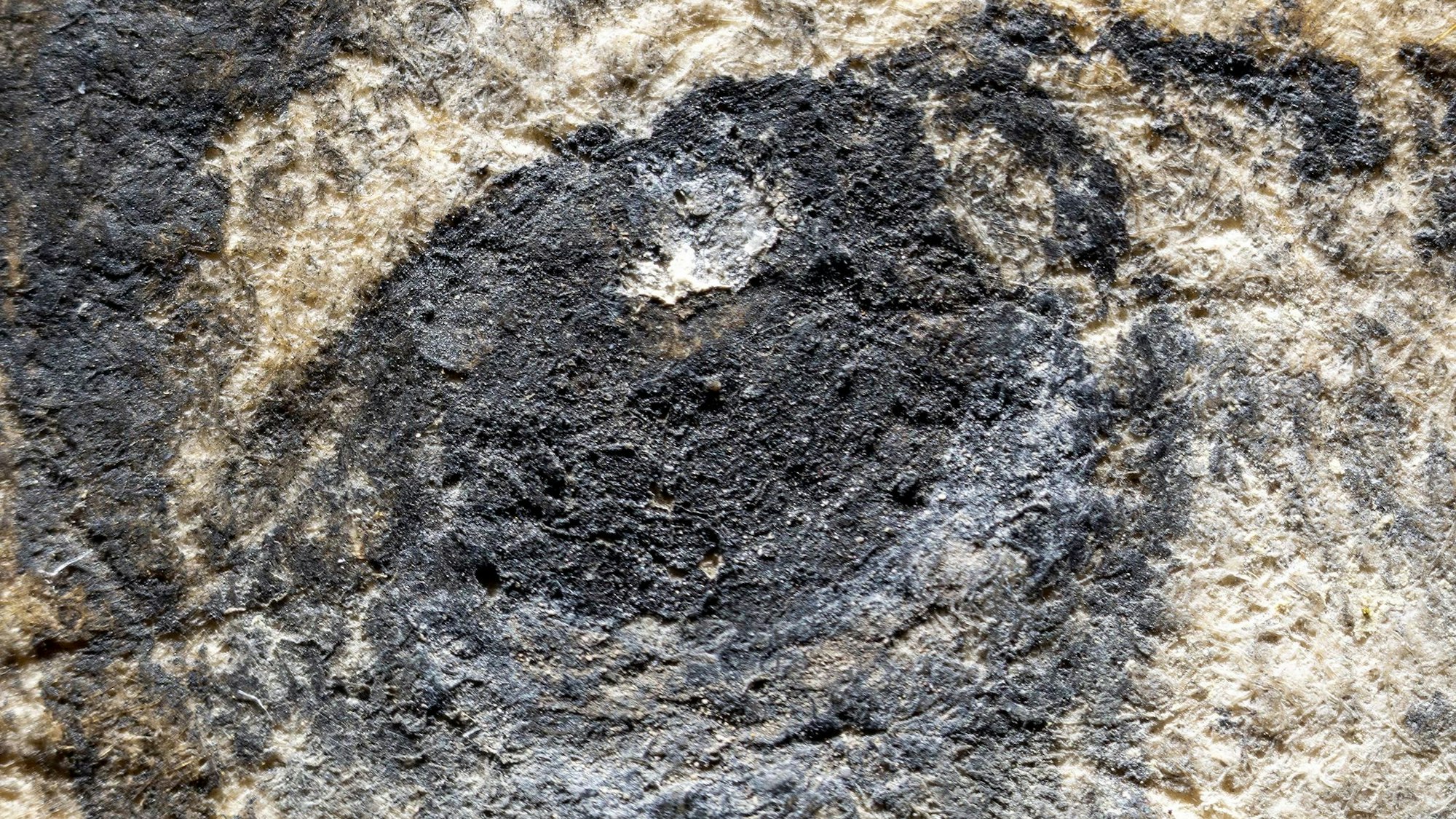 Ein gemaltes Auge in extremer Großaufnahme.