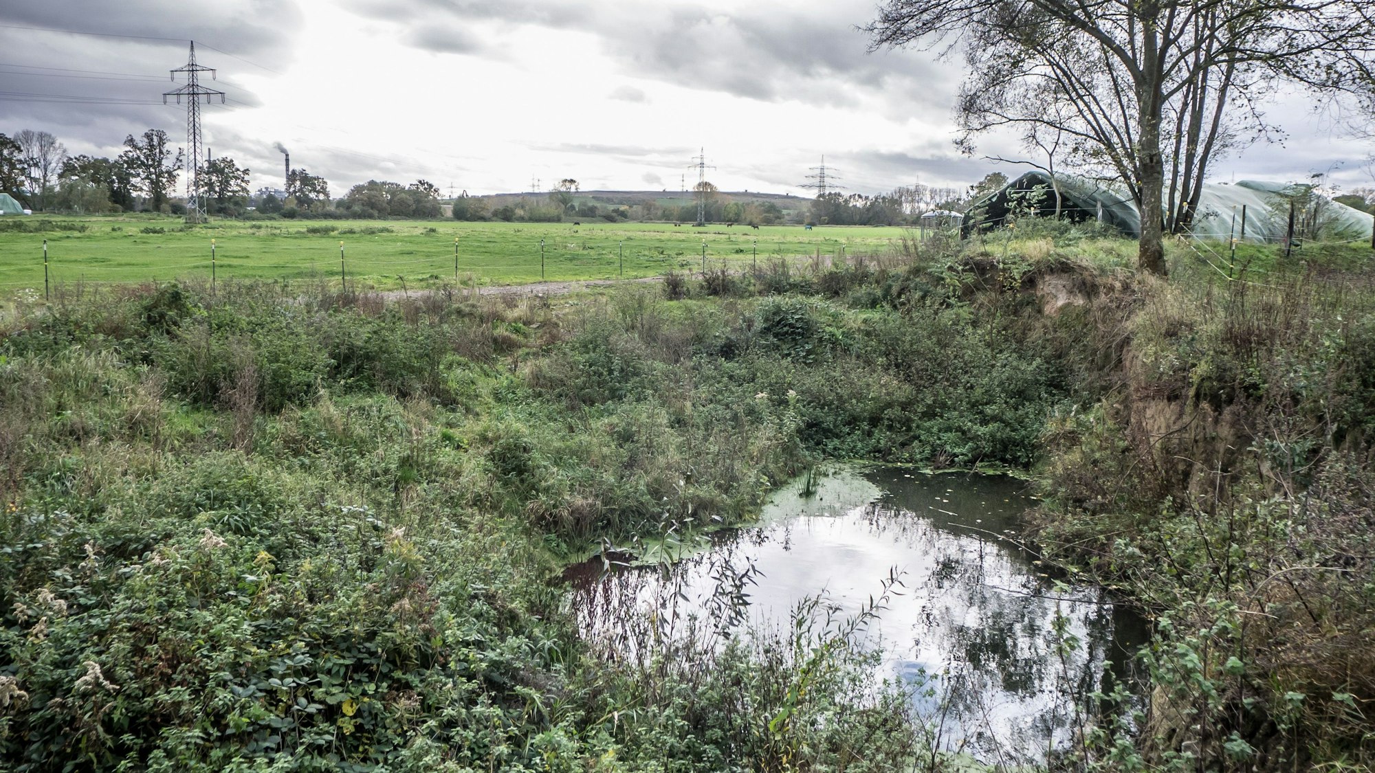 Künftiges Naturschutzgebiet Wupperaue, unterhalb von Reuschenberg. Foto: Ralf Krieger