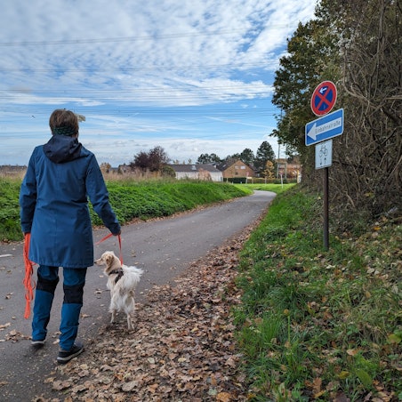 Eine Spaziergängerin mit Hund geht über eine Straße an einem Einbahnstraßenschild vorbei.