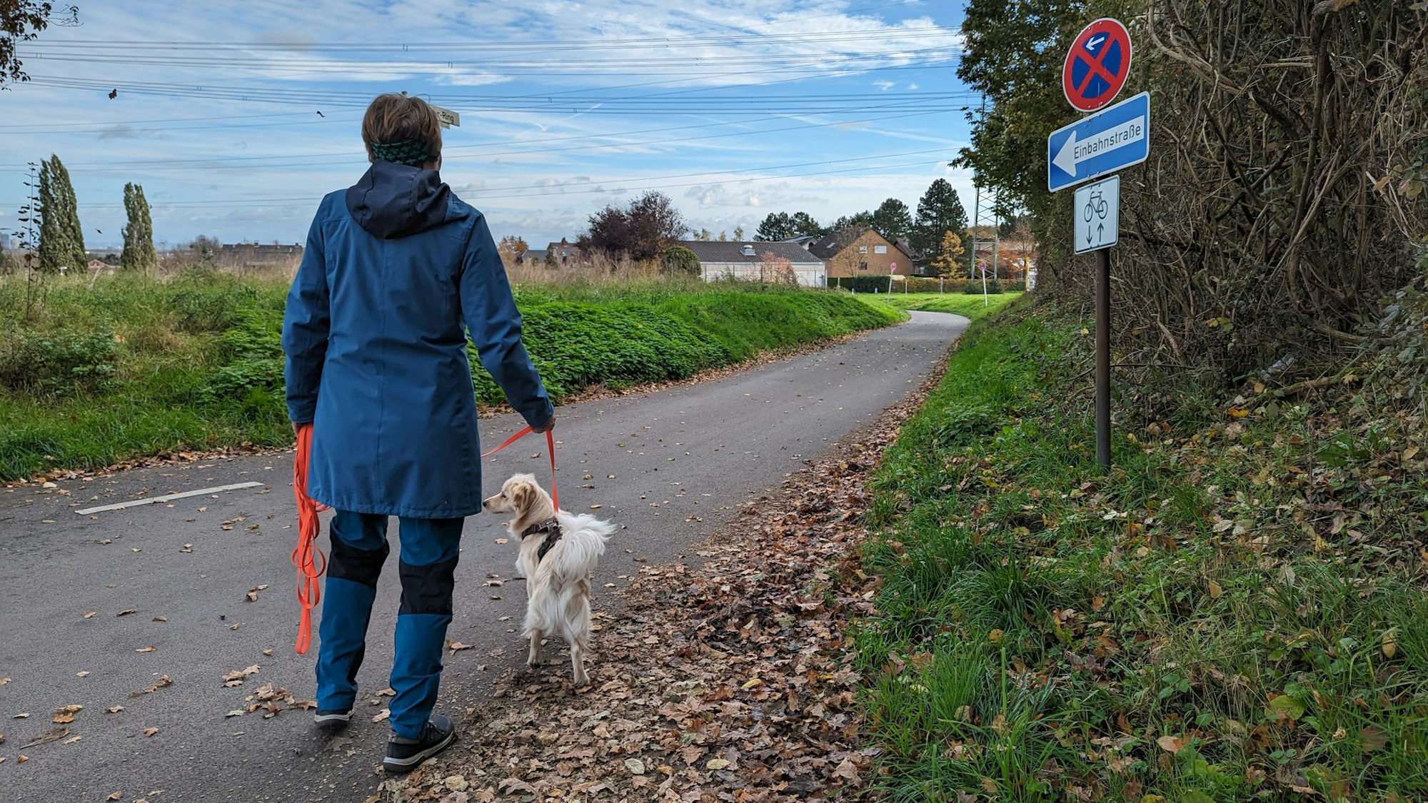 Eine Spaziergängerin mit Hund geht über eine Straße an einem Einbahnstraßenschild vorbei.