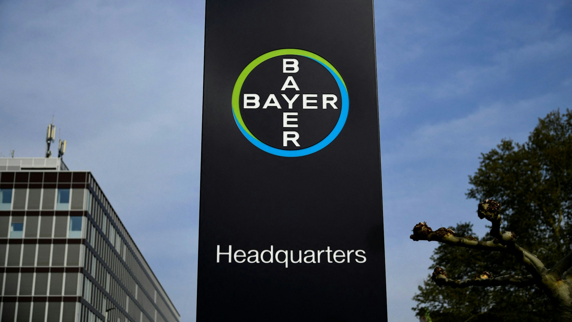 Ein Schild des Chemie-Riesen Bayer bei der Zentrale in Leverkusen. Der Konzern hat angekündigt, Hierarchieebenen streichen zu wollen. (Symbolbild)
