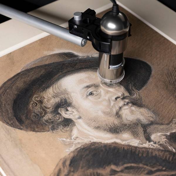 Ein Selbstporträt von Rubens liegt unter einem Mikroskop.