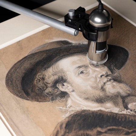 Ein Selbstporträt von Rubens liegt unter einem Mikroskop.
