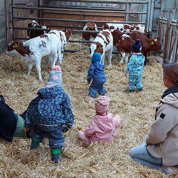 Mit zwei Betreuerinnen sitzen die Kinder im Stroh des Kälberstalls, in dem sich auch fünf Kälber aufhalten.