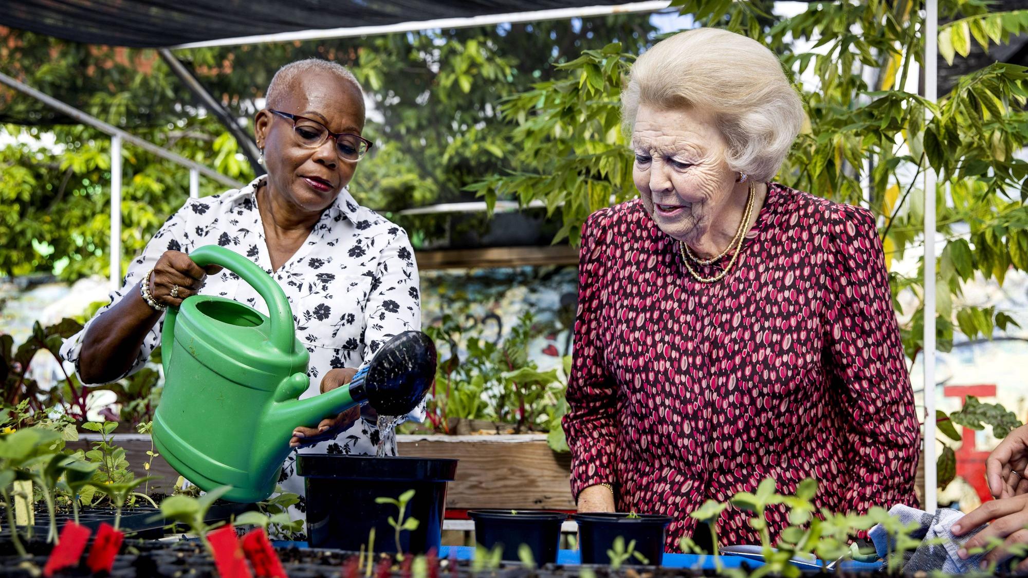 Prinzessin Beatrix besucht einen Gemeinschaftsgarten im Stadtteil Otrobanda, in dem die Menschen Obst und Gemüse anbauen.