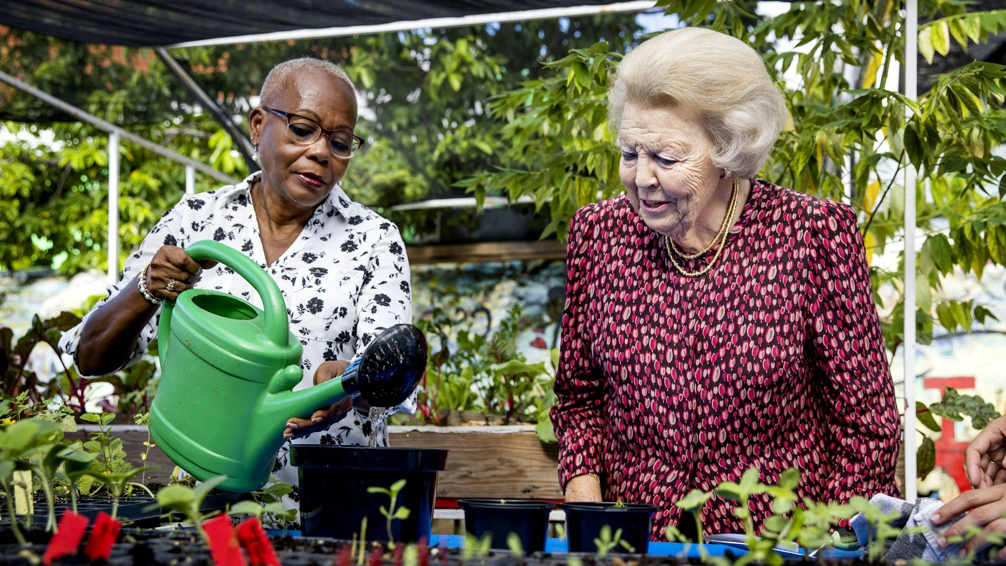 Prinzessin Beatrix besucht einen Gemeinschaftsgarten im Stadtteil Otrobanda, in dem die Menschen Obst und Gemüse anbauen.