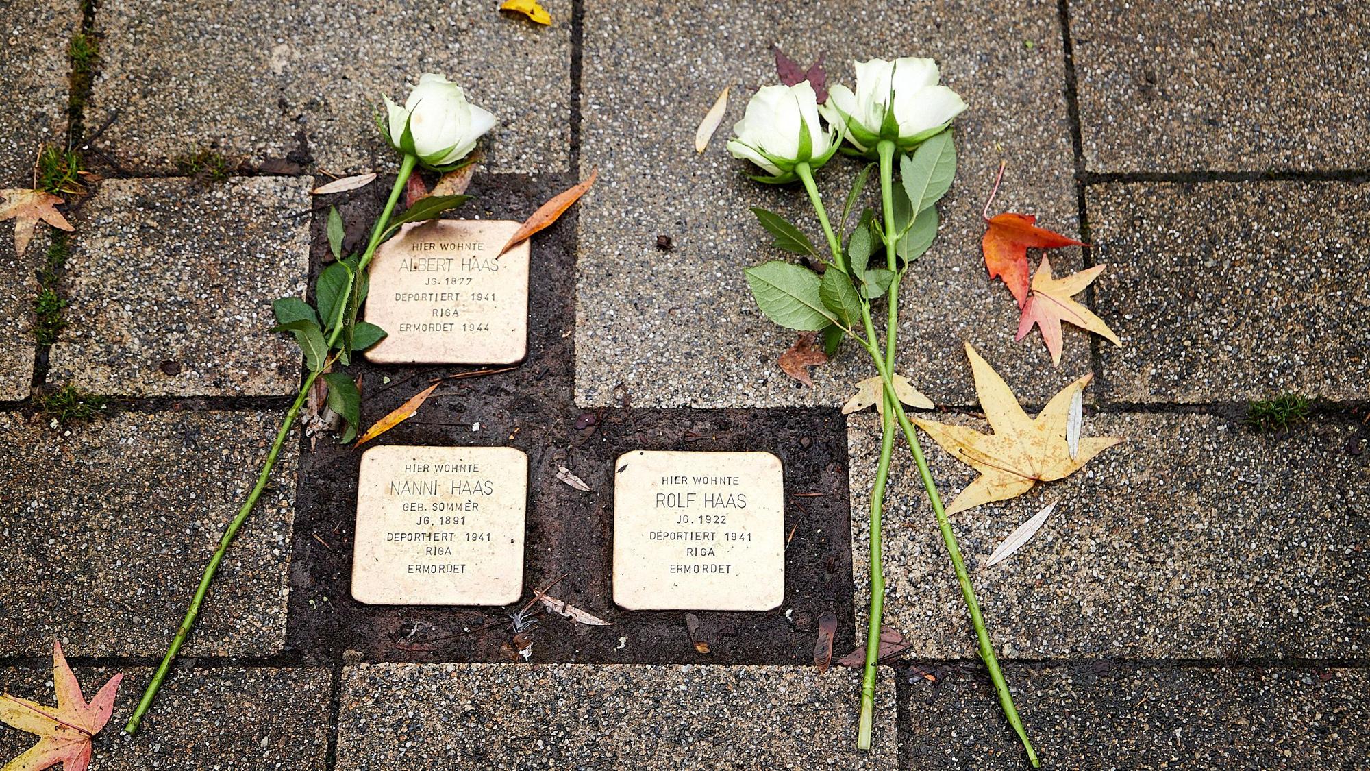 Drei Stolpersteine erinnern an Mitglieder der Familie Haas aus Schleiden. Auf dem Boden daneben liegen drei weiße Rosen.
