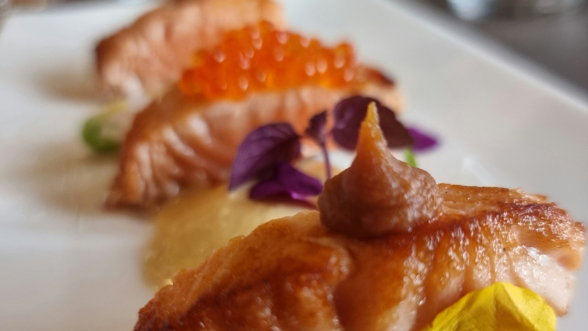 Norwegischer Lachs im neuen Bistro Moissonnier