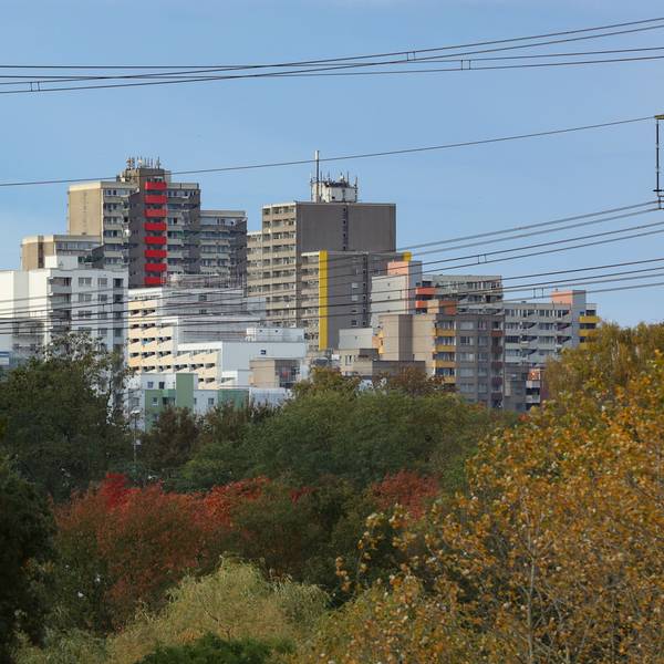25.10.2023
Köln:
Chorweiler mit herbstlich gefärbten Laub im Vordergrund
Foto: Martina Goyert