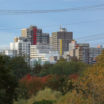 25.10.2023
Köln:
Chorweiler mit herbstlich gefärbten Laub im Vordergrund
Foto: Martina Goyert
