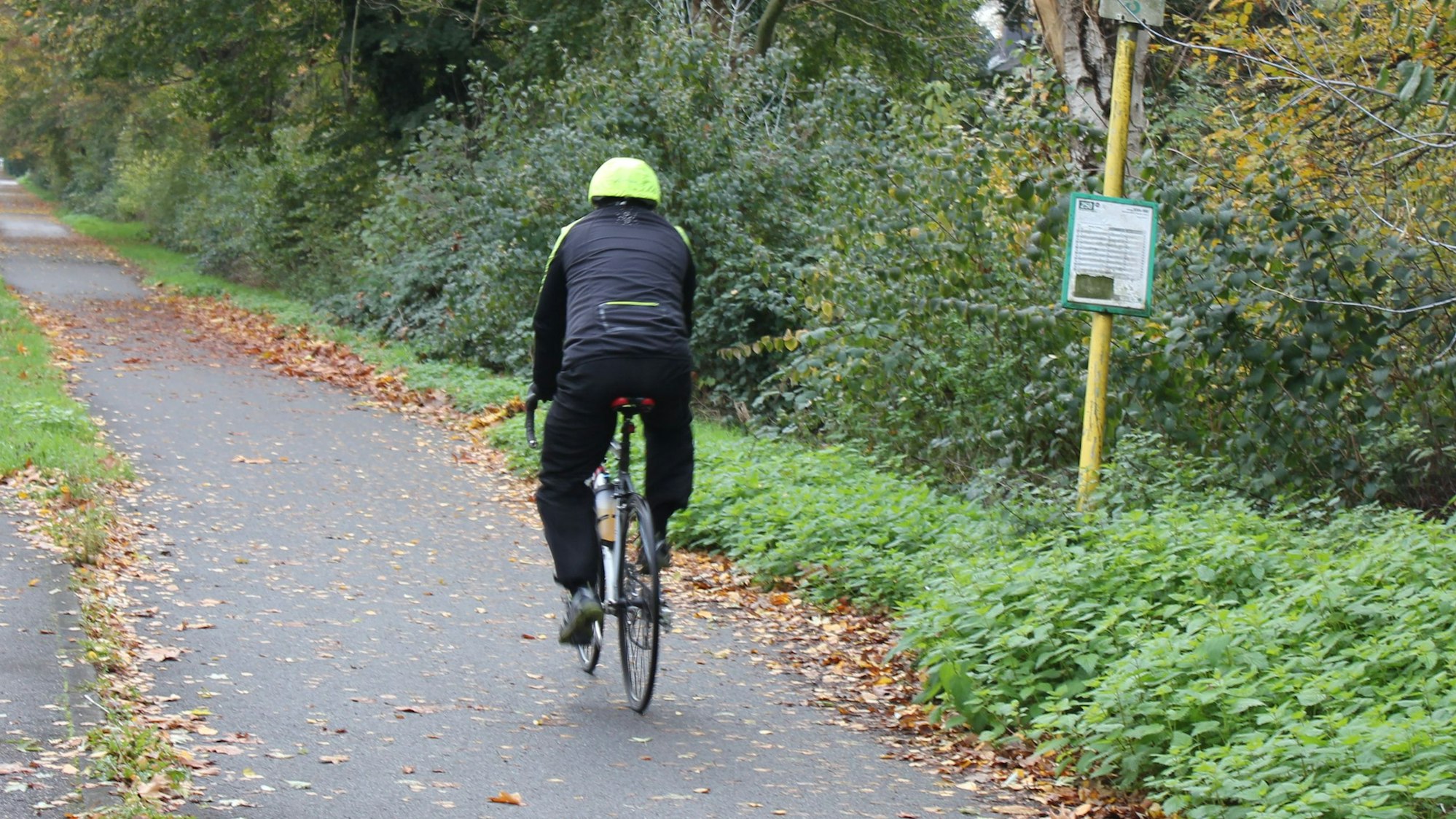 Auf dem Foto ist ein Radfahrer von hinten zu sehen.