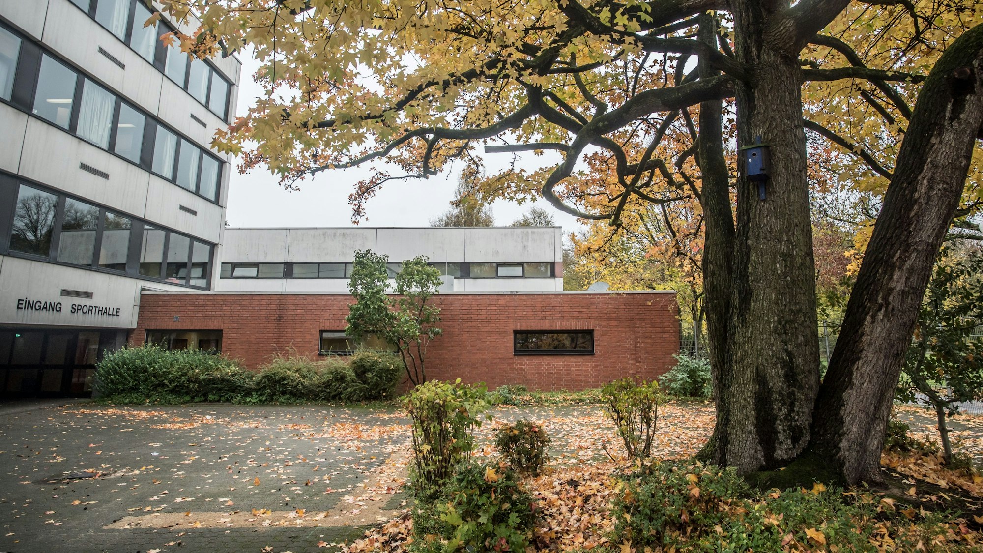 Die alte Sporthalle wird abgebrochen. (Archivbild)