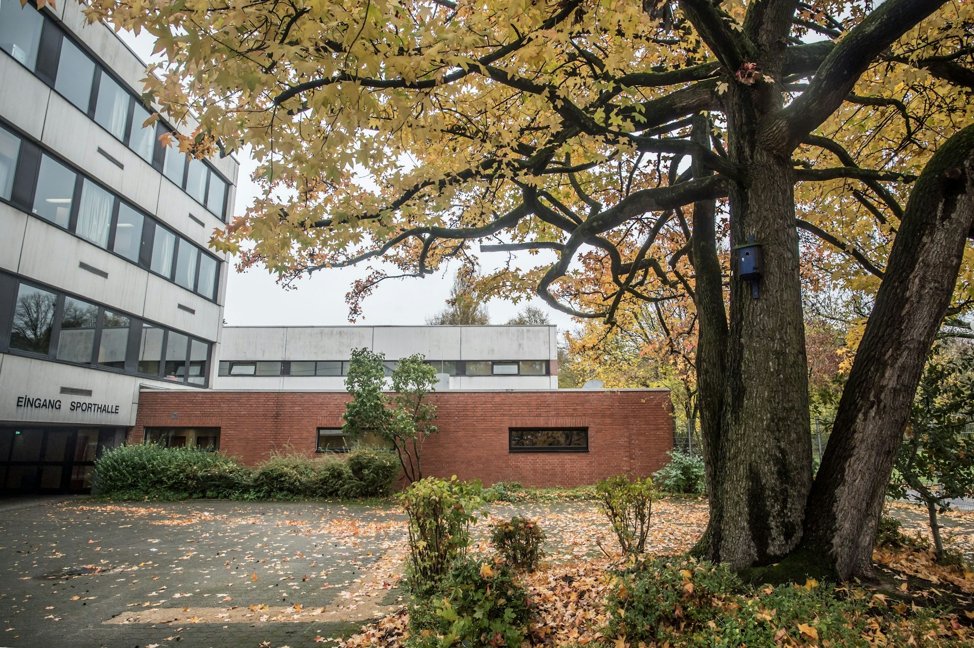 Die Sporthalle neben der Realschule am Stadtpark soll abgebrochen und neu gebaut werden