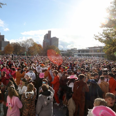 Verkleidete Menschen feiern auf Wiese.