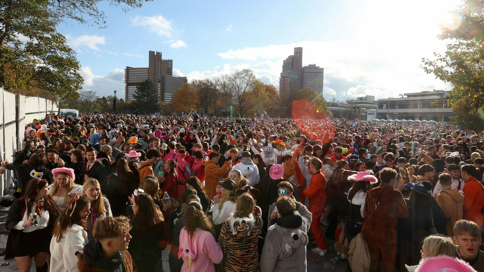 Verkleidete Menschen feiern auf Wiese.