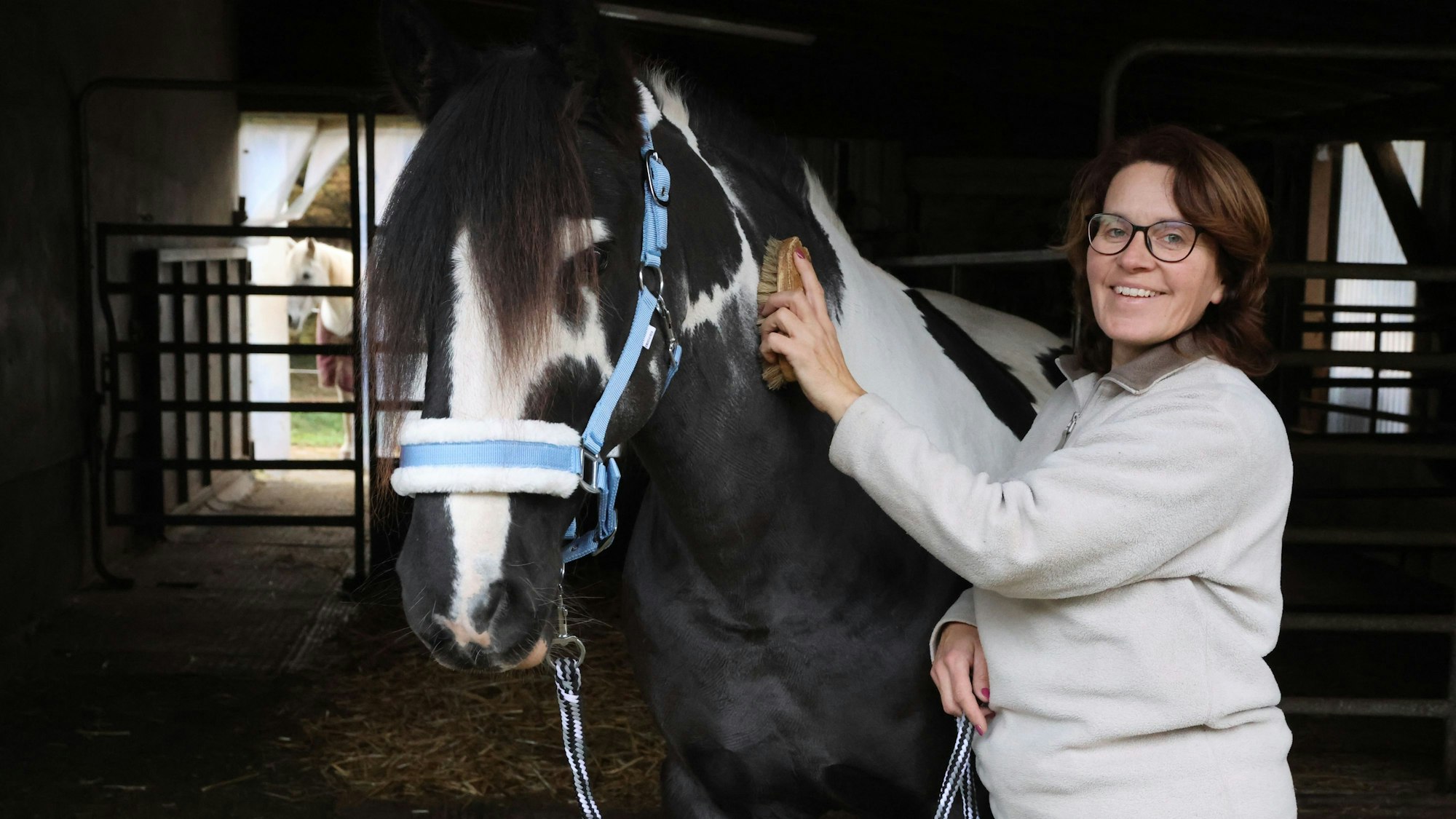 Nicole Krpiczak striegelt ihre Tinker-Stute.