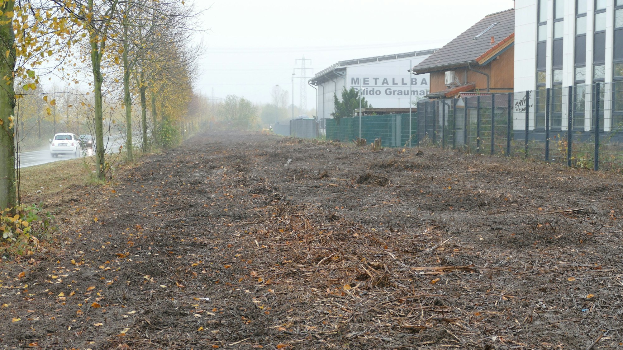 Nur noch blanker Boden ist dort zu sehen, wo früher grüne Bäume wuchsen.