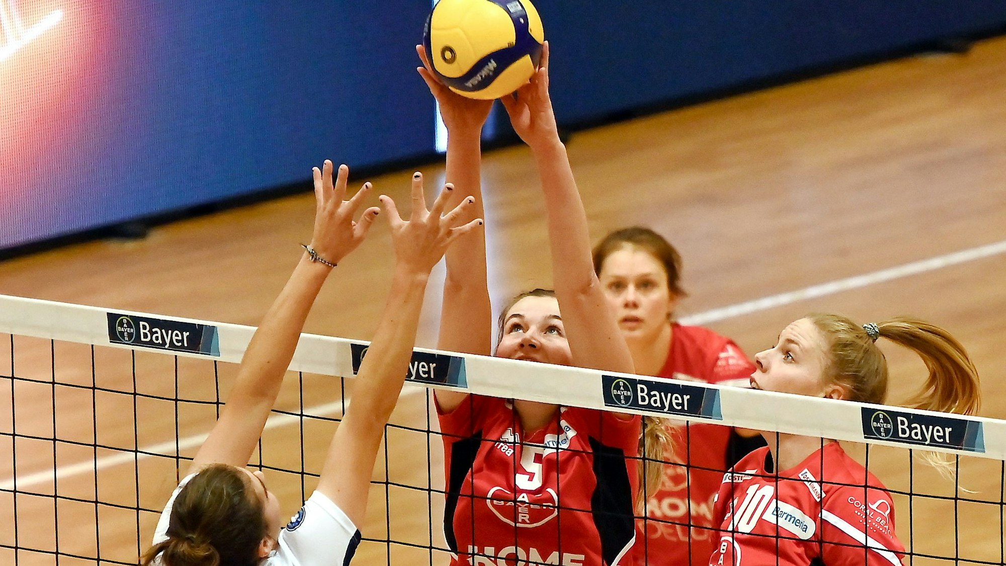 11.11.2023, Volleyball-Bayer Volleys - Dresden
Block: links: Clara Wübbeke (Bayer)
rechts: Charlotta Werscheck (Bayer)
Foto: Uli Herhaus