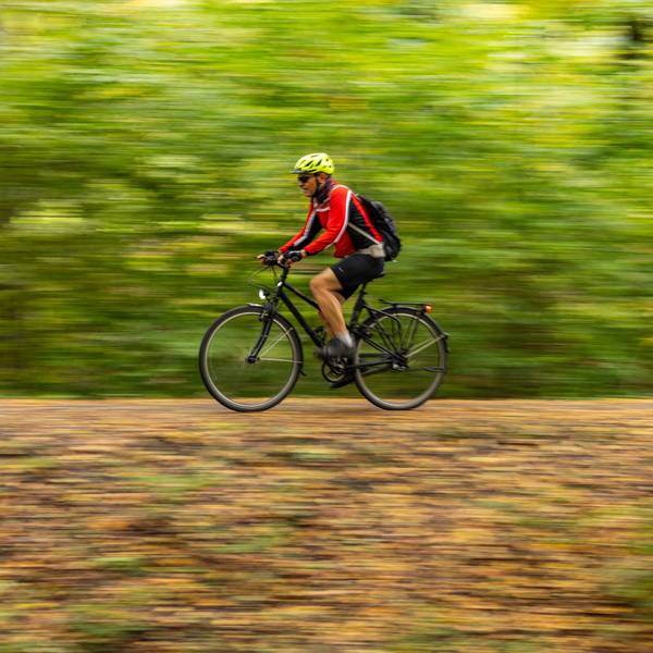 Ein Radfahrer fährt auf seinem Fahrrad durch einen Wald.