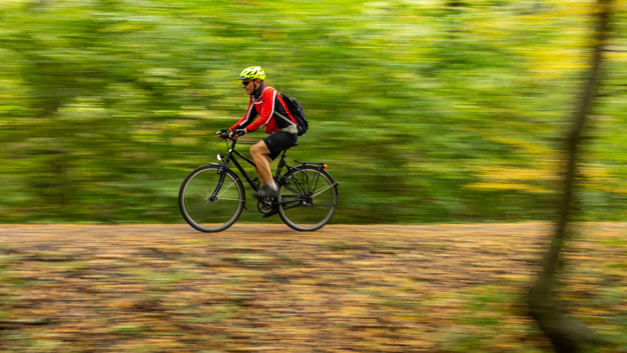 Ein Fahrradfahrer fährt durch den herbstlichen Wald.