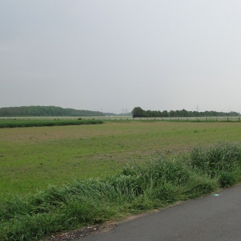 Blick auf einen Feldweg.