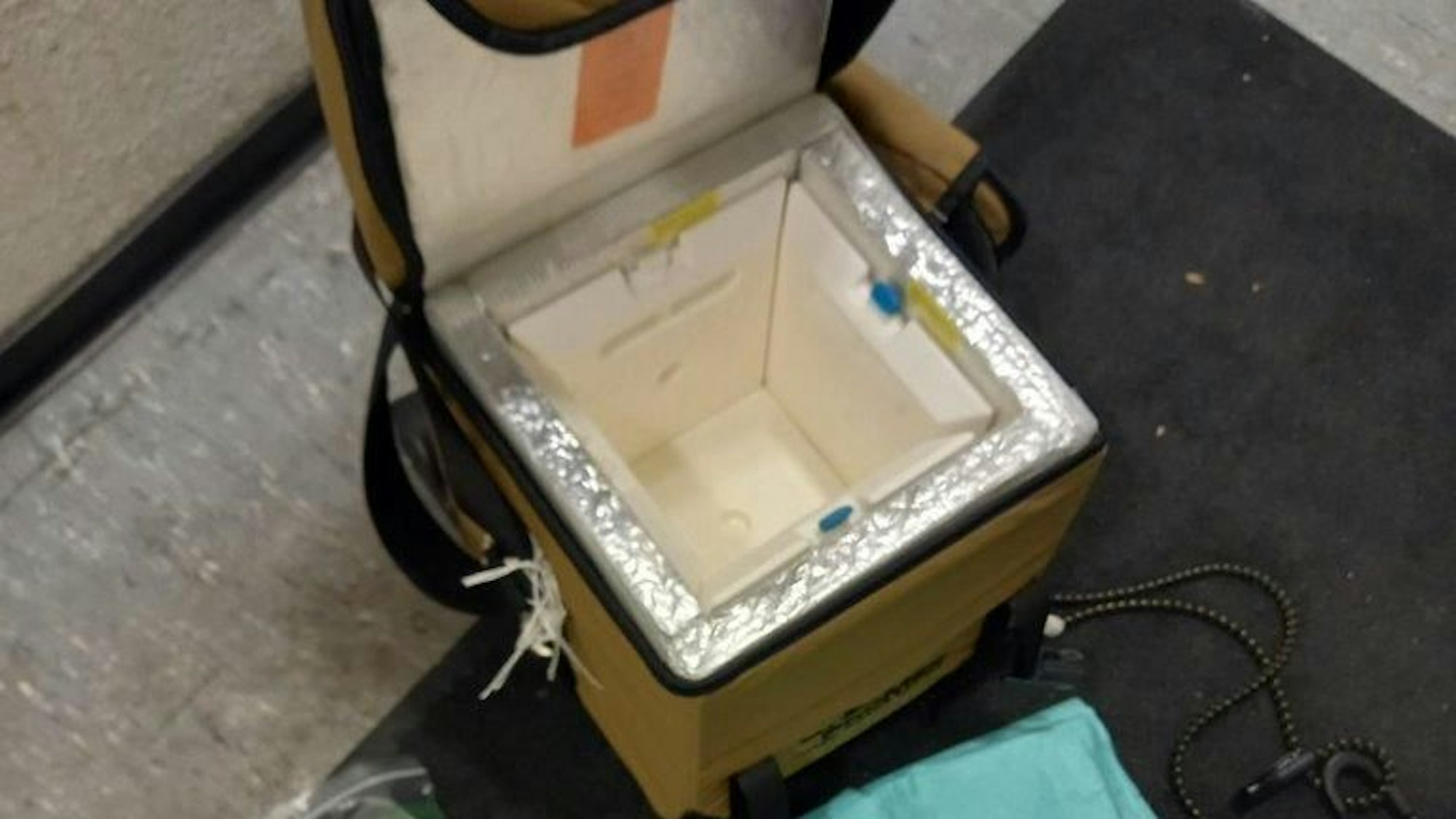 Die Transportbox steht geöffnet und leer auf dem Boden.