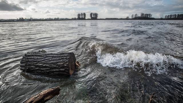 Rheinwasser wasserqualität. Foto: Ralf Krieger