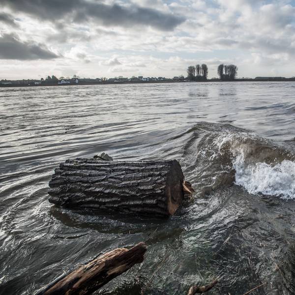 Rheinwasser wasserqualität. Foto: Ralf Krieger