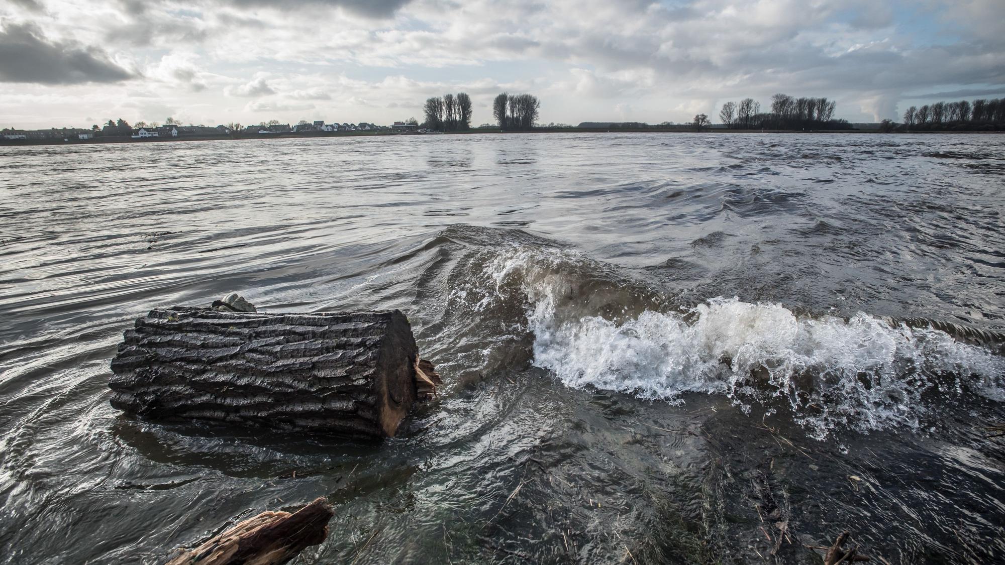Rheinwasser wasserqualität. Foto: Ralf Krieger