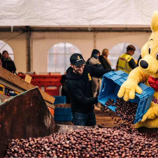 Bei der Haribo-Kastanienaktion in Grafschaft schütten ein als Haribo-Goldbär verkleideter Mensch mit einem Haribo-Mitarbeiter Kastanien aus einem Korb in einen Container.
