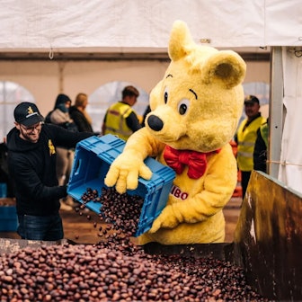 Bei der Haribo-Kastanienaktion in Grafschaft schütten ein als Haribo-Goldbär verkleideter Mensch mit einem Haribo-Mitarbeiter Kastanien aus einem Korb in einen Container.