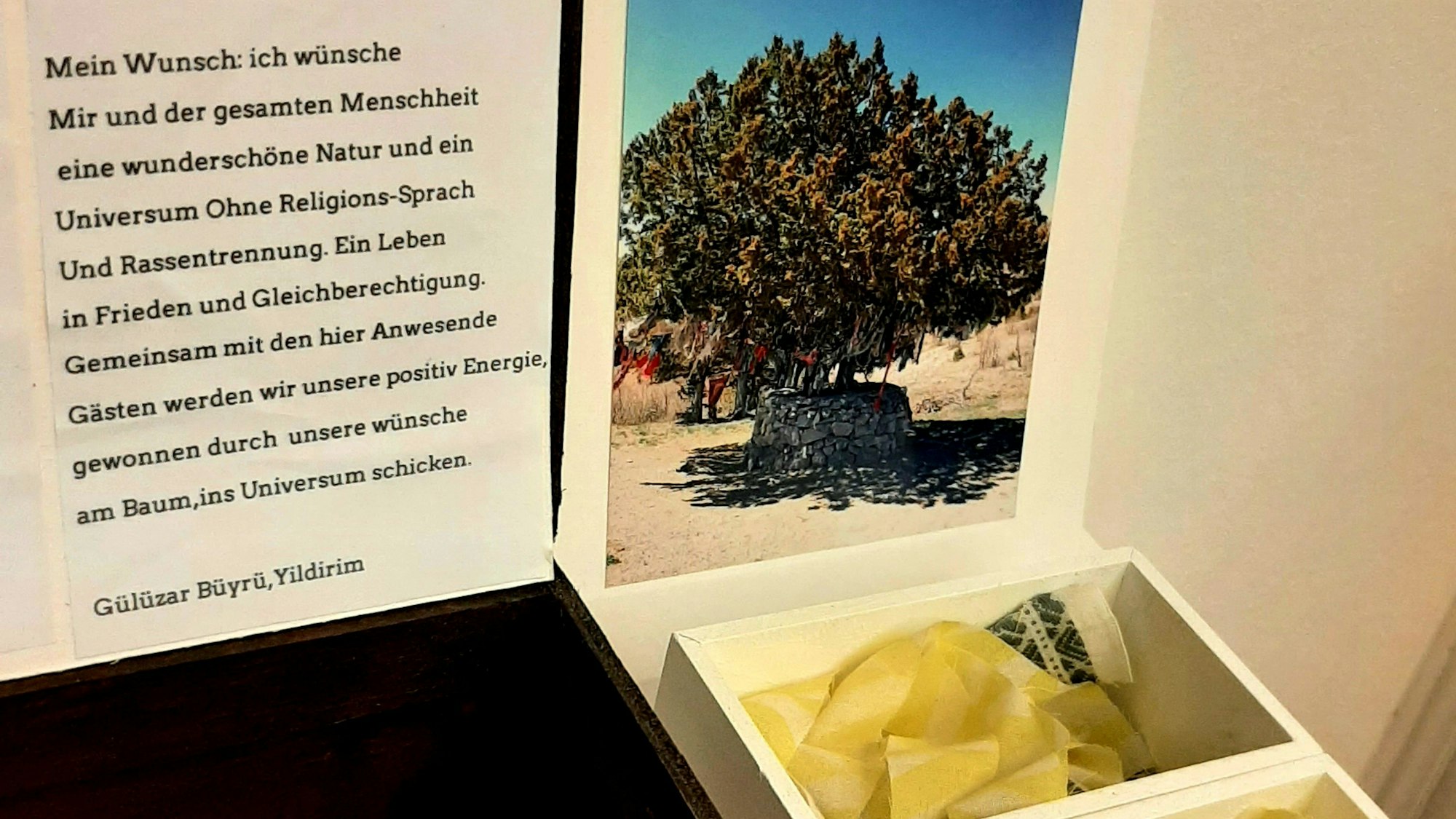 Ausstellung "sein & haben" im Museum Morsbroich. Menschen aus der Stadtgesellschaft kuratierten gemeinsam mit Kuratorin Thekla Zell aus der Sammlung des Museums in Leverkusen heraus je einen eigenen Raum, darunter auch Olive, Gülüzar Büyrü-Yildirim (von ihr stammt diese Box) und Rolf Nietzard.