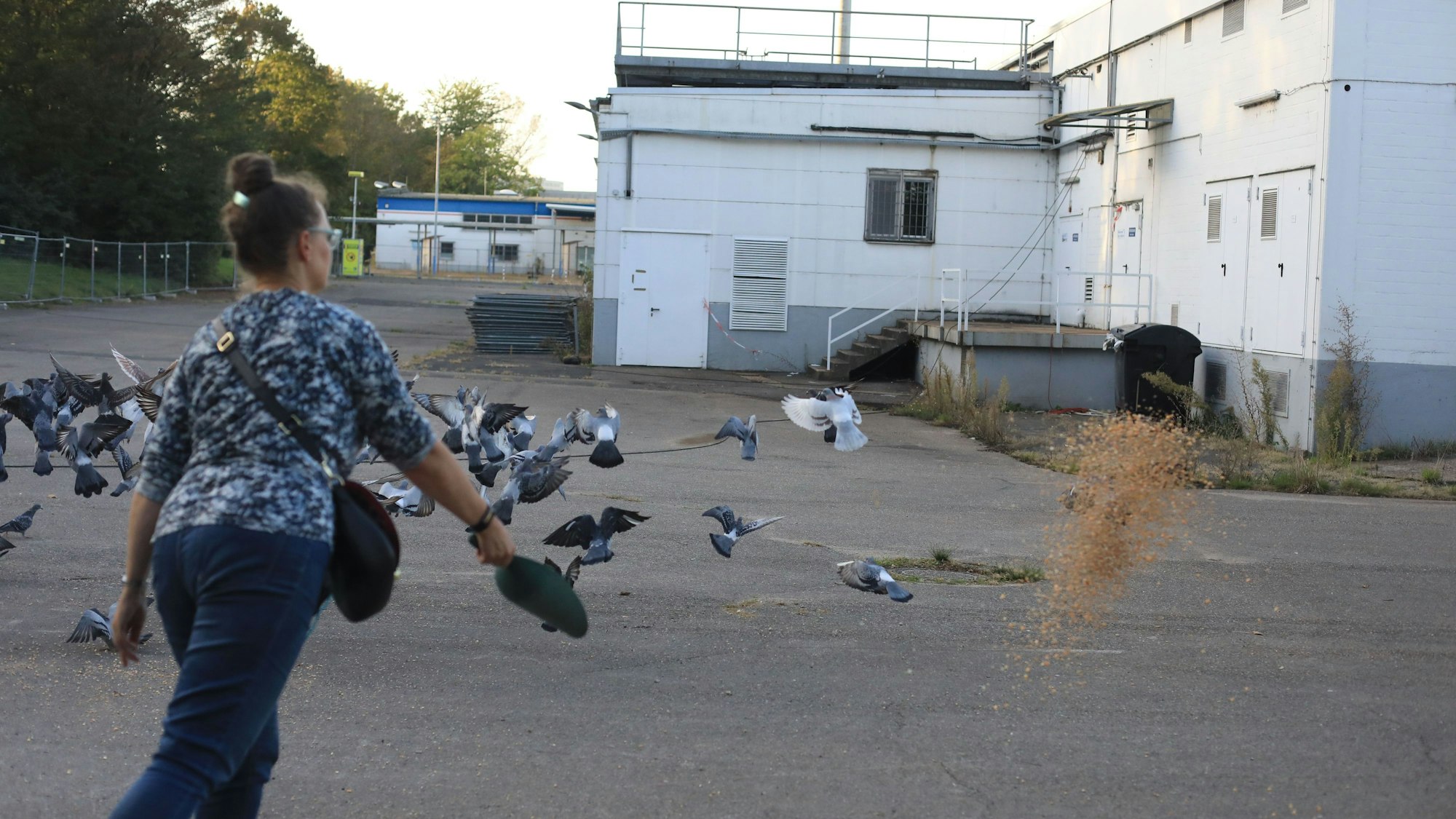 Astrid Schumacher verteilt schon einmal Mais an die Tiere.