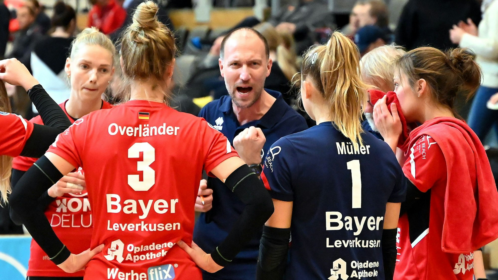 11.11.2023, Volleyball-Bayer Volleys - Dresden
mitte: TR: Dirk Sauermann (Bayer)
Foto: Uli Herhaus