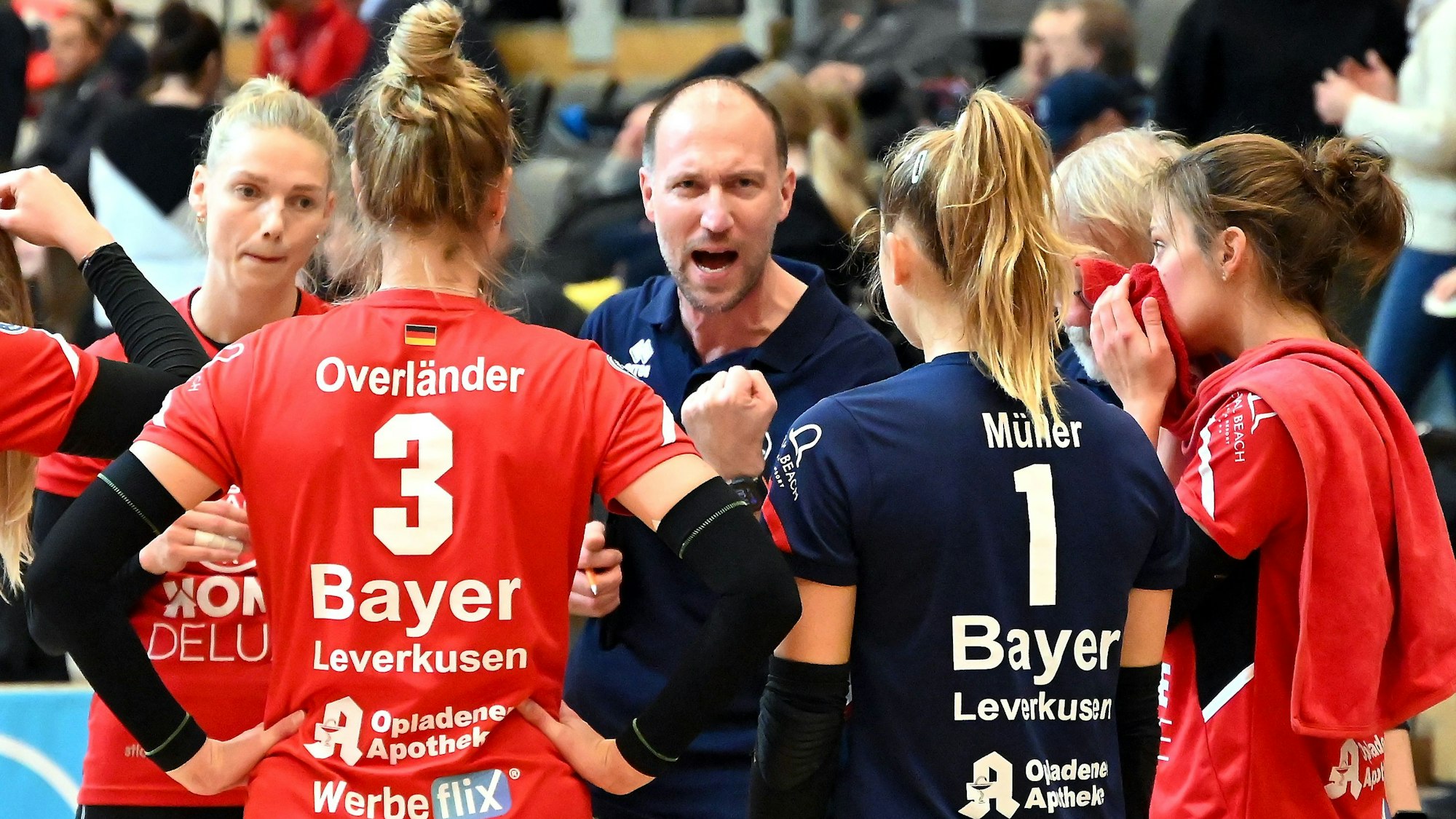 11.11.2023, Volleyball-Bayer Volleys - Dresden
mitte: TR: Dirk Sauermann (Bayer)
Foto: Uli Herhaus
