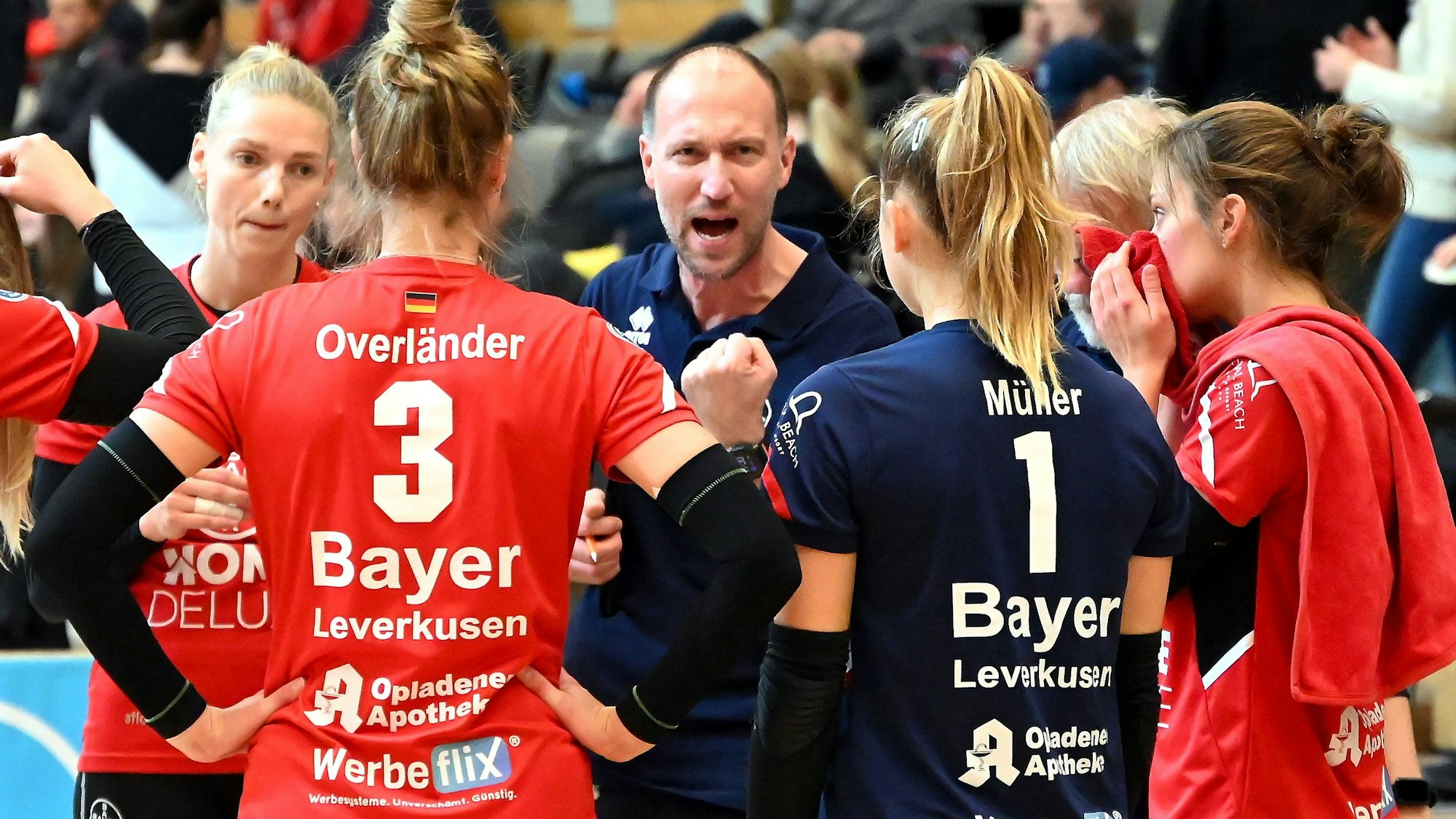 11.11.2023, Volleyball-Bayer Volleys - Dresden
mitte: TR: Dirk Sauermann (Bayer)
Foto: Uli Herhaus